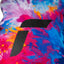 Reusch Carter R-TEX XT Mitten