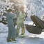 Thule Arcos Box XL