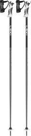 LEKI Bold S skistokken antraciet/zwart/wit